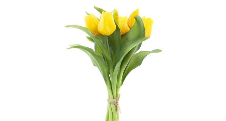 Tulpenboeket Geel 7st