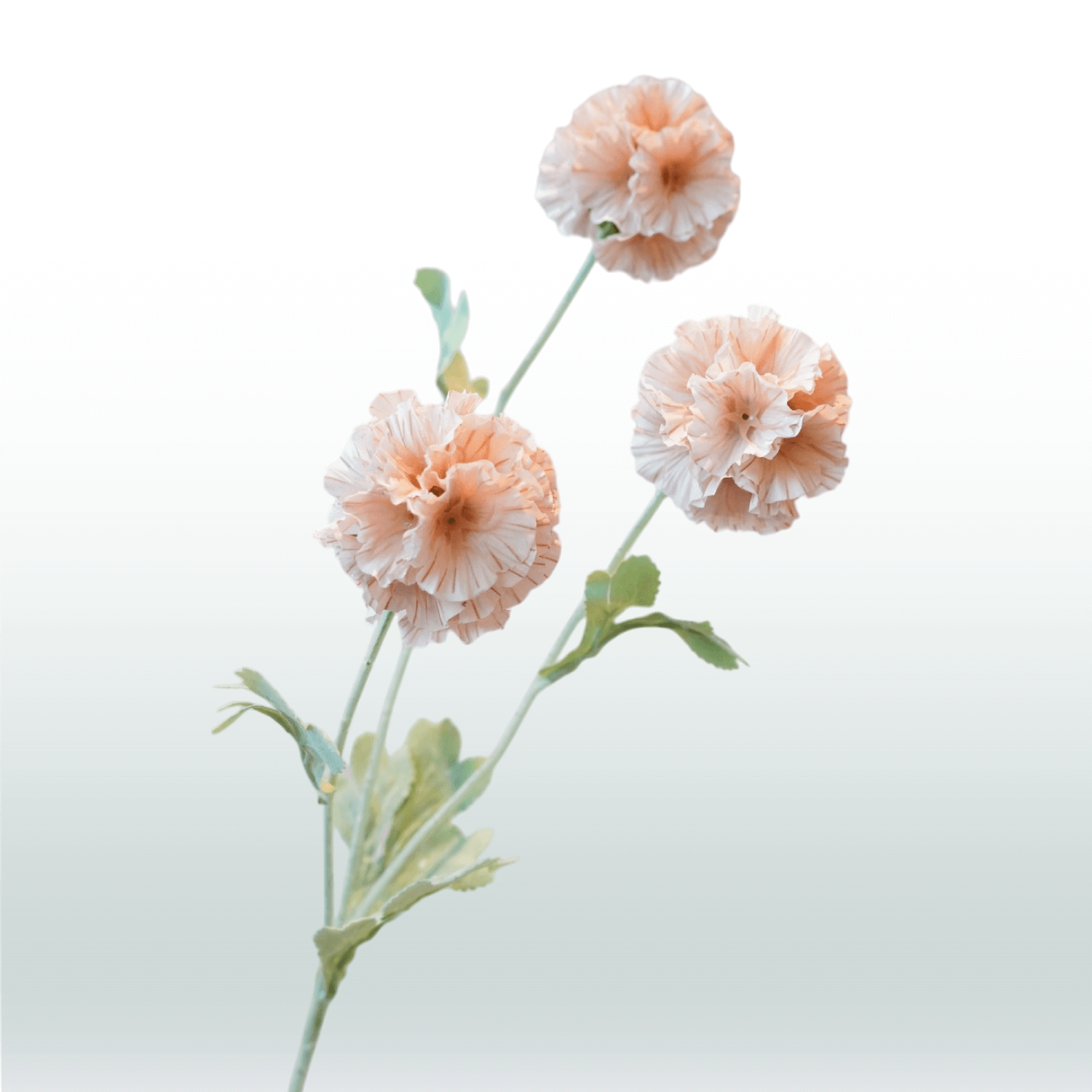 Scabiosa 68cm beige