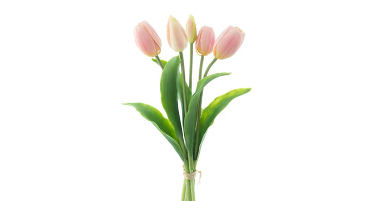 Tulpenboeket Roze 5st