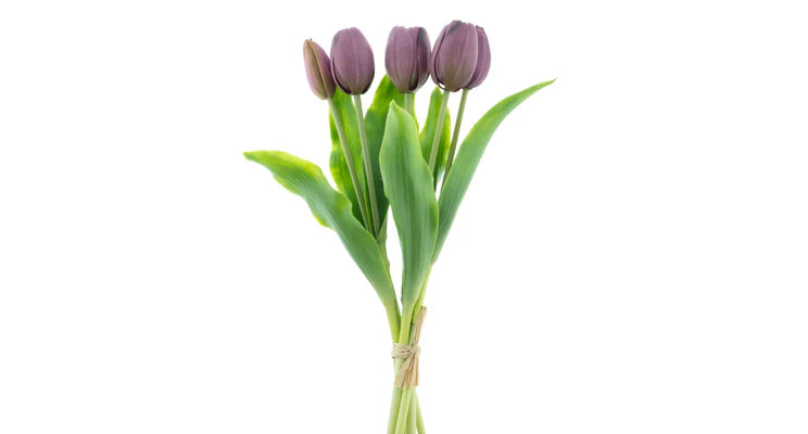 Tulpenboeket Aubergine 5st